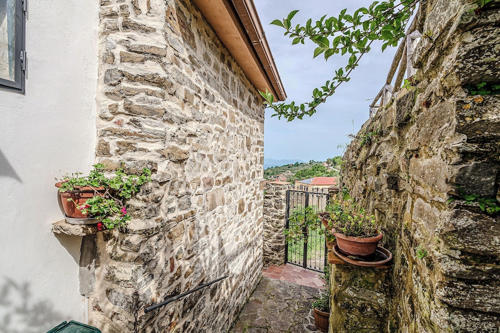 Mary's House