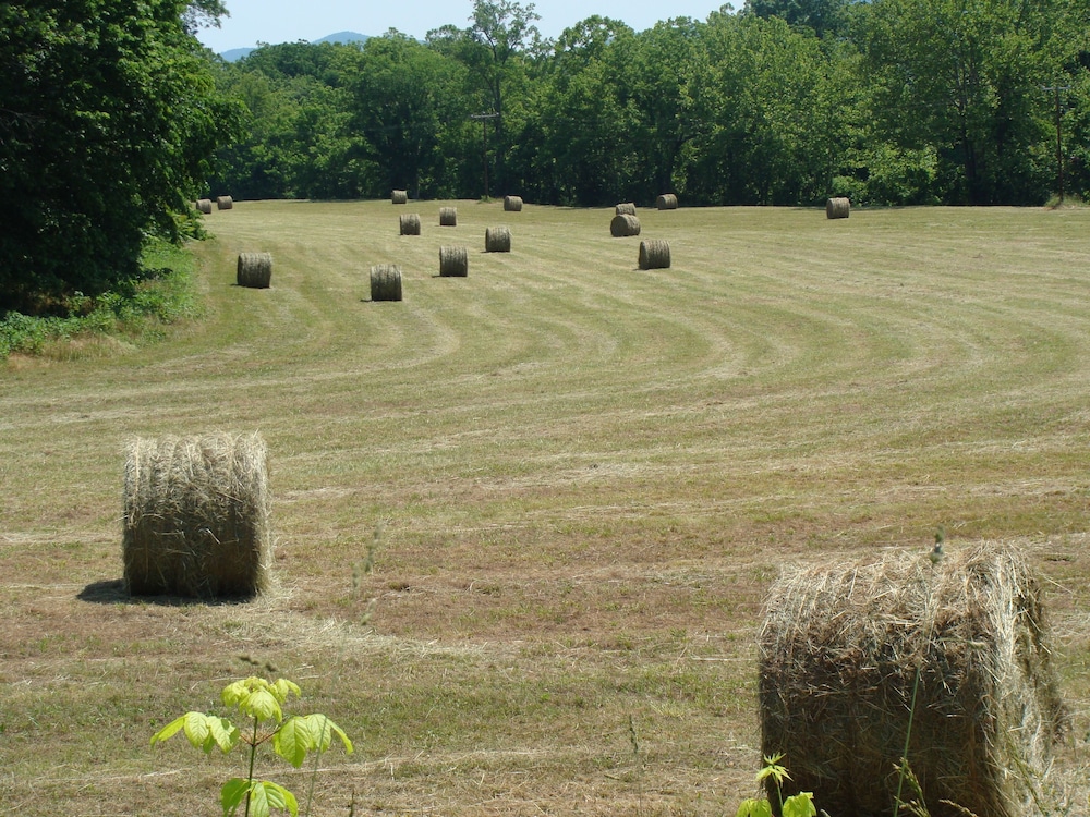 Lexington Vacations - DeHart Cabin - Property Image 9