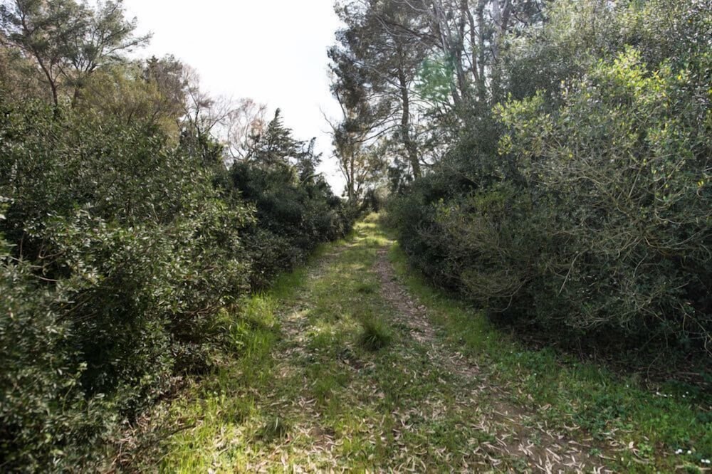 Agriturismo San Giuliano