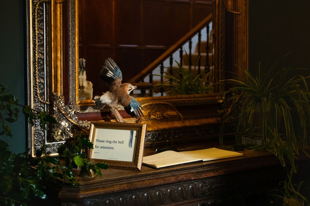Foyers Lodge view 2