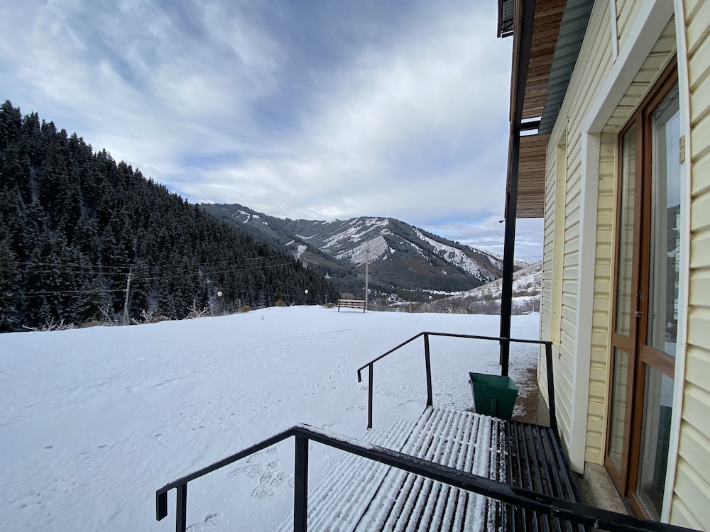 Photo 44