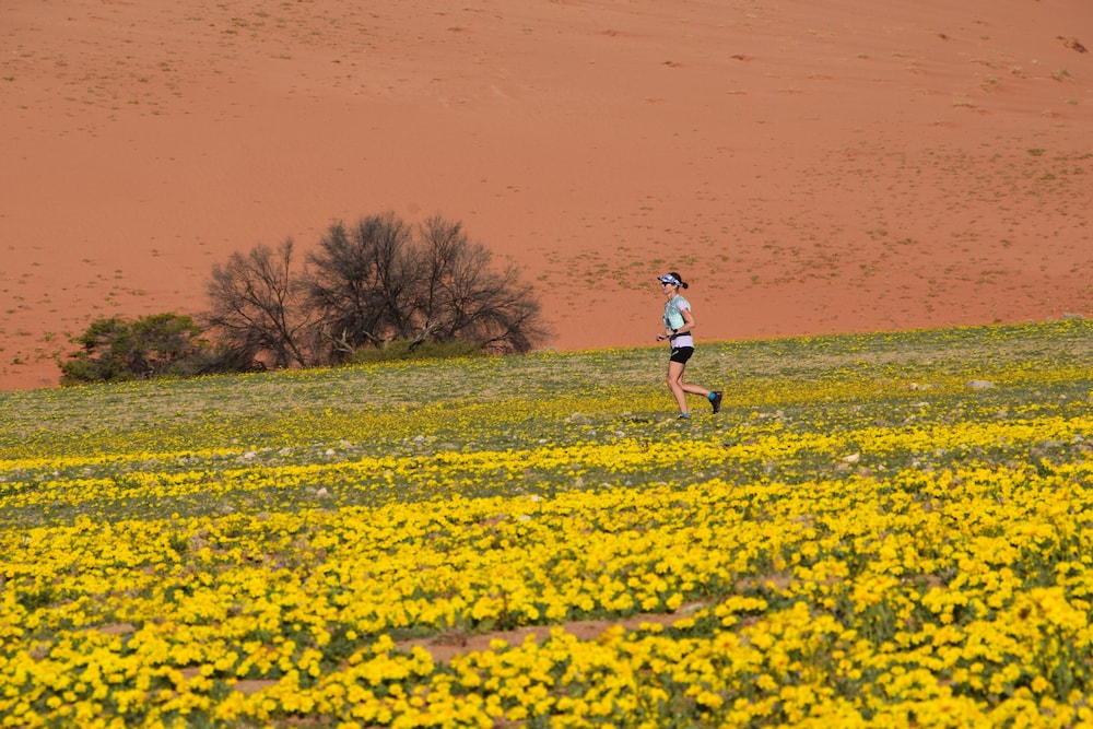 Klein-Aus Vista Desert Horse Campsite