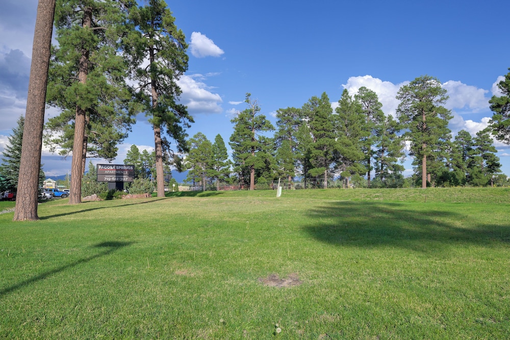 Pagosa Springs Studio: Walk to Dining & Grocery! view 4