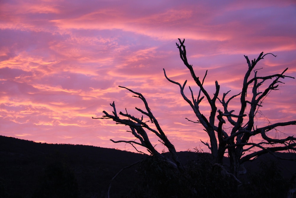 Boroka Downs