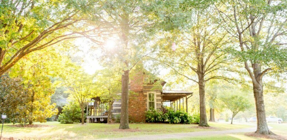 Green Frog Farm Cabins