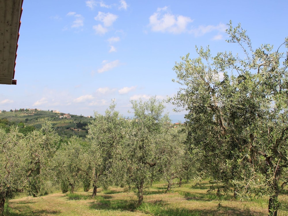Tuscan Heaven; Vinci and Pistoia