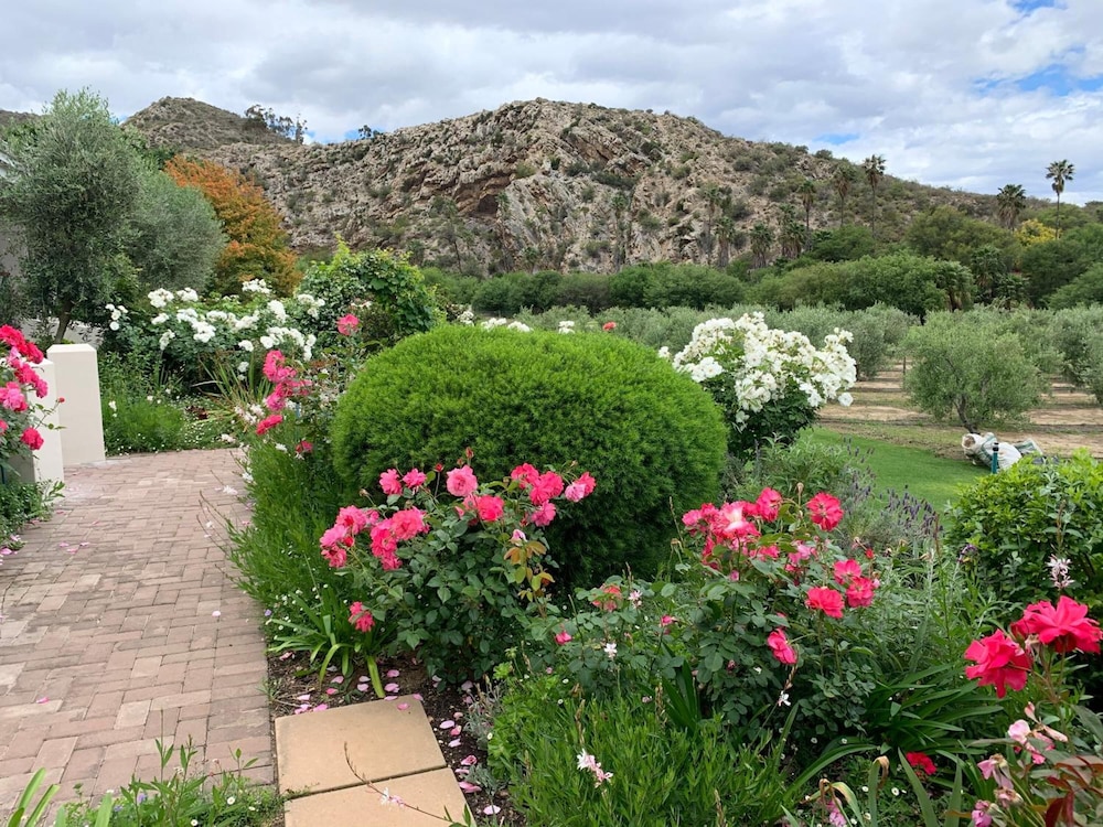 Montagu Vines Guest House
