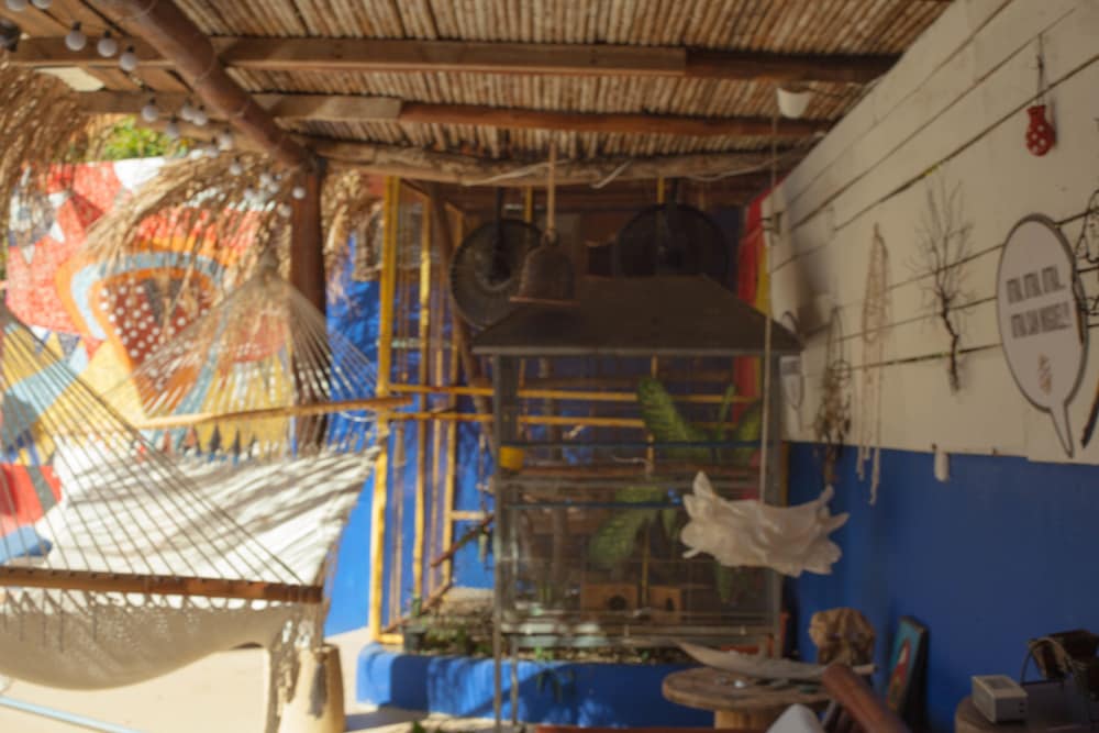 Apartamentos Massai