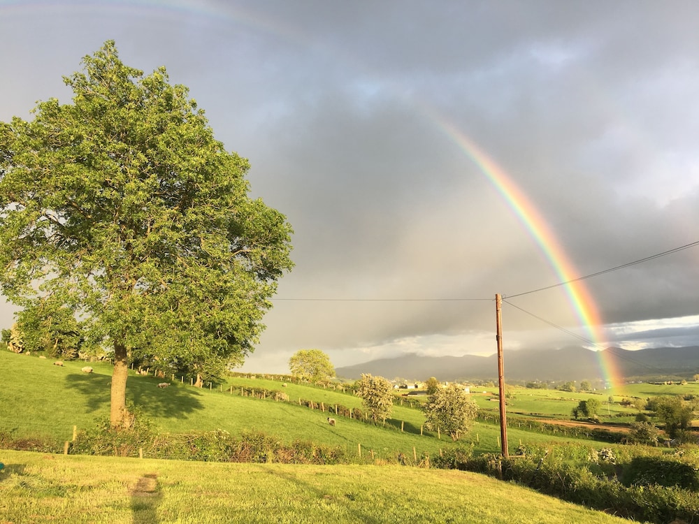 The View at 37 B&B