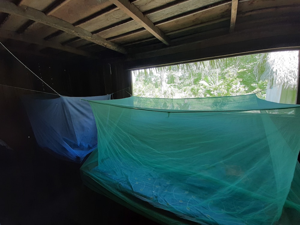 Inti Amazon Lodge - Lupuna Zona 2 view 3