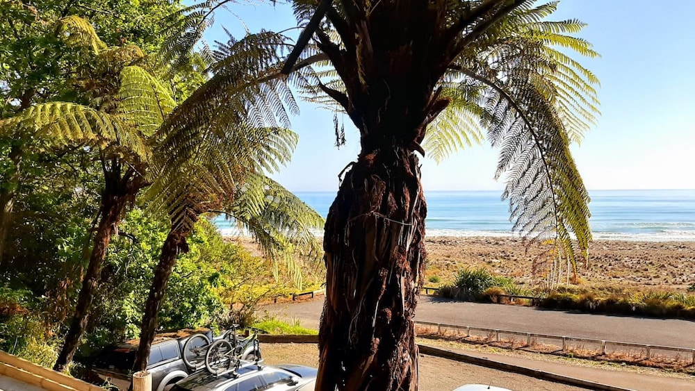 Ohiwa Beach Apartments Motel