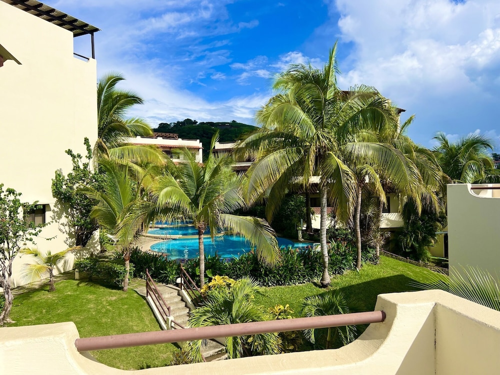 Tropical Gardens