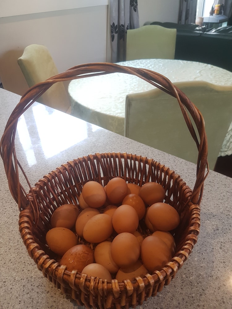 Genuine Kiwi Experience