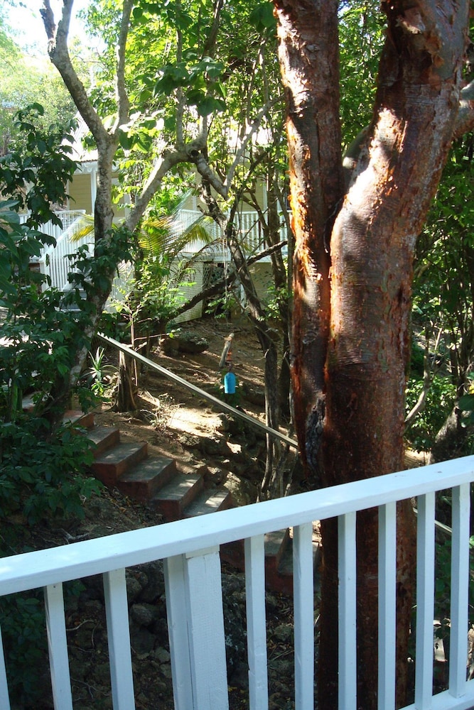 Galley Bay Cottages - Property Image 76