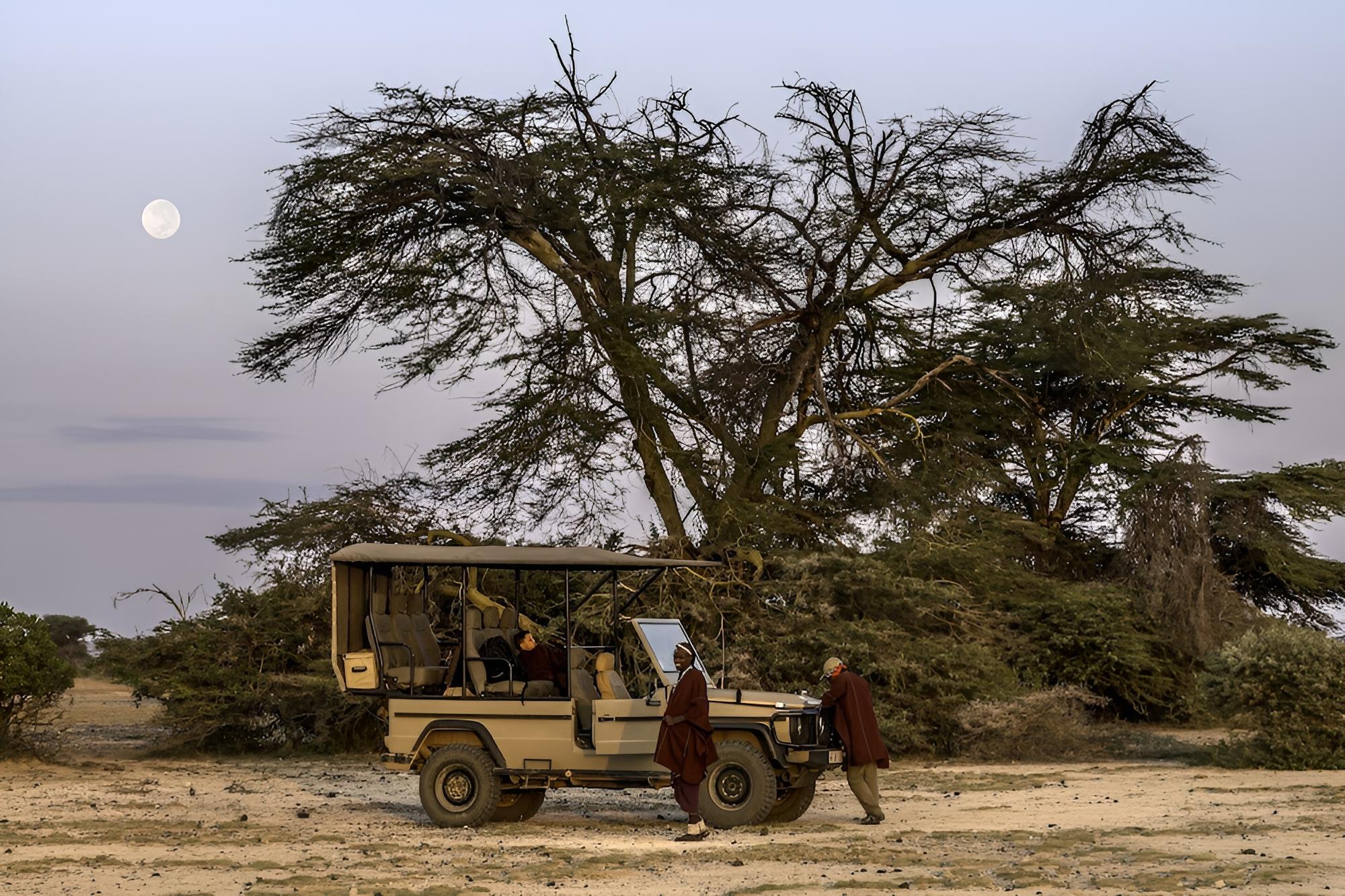 Shu'mata Camp