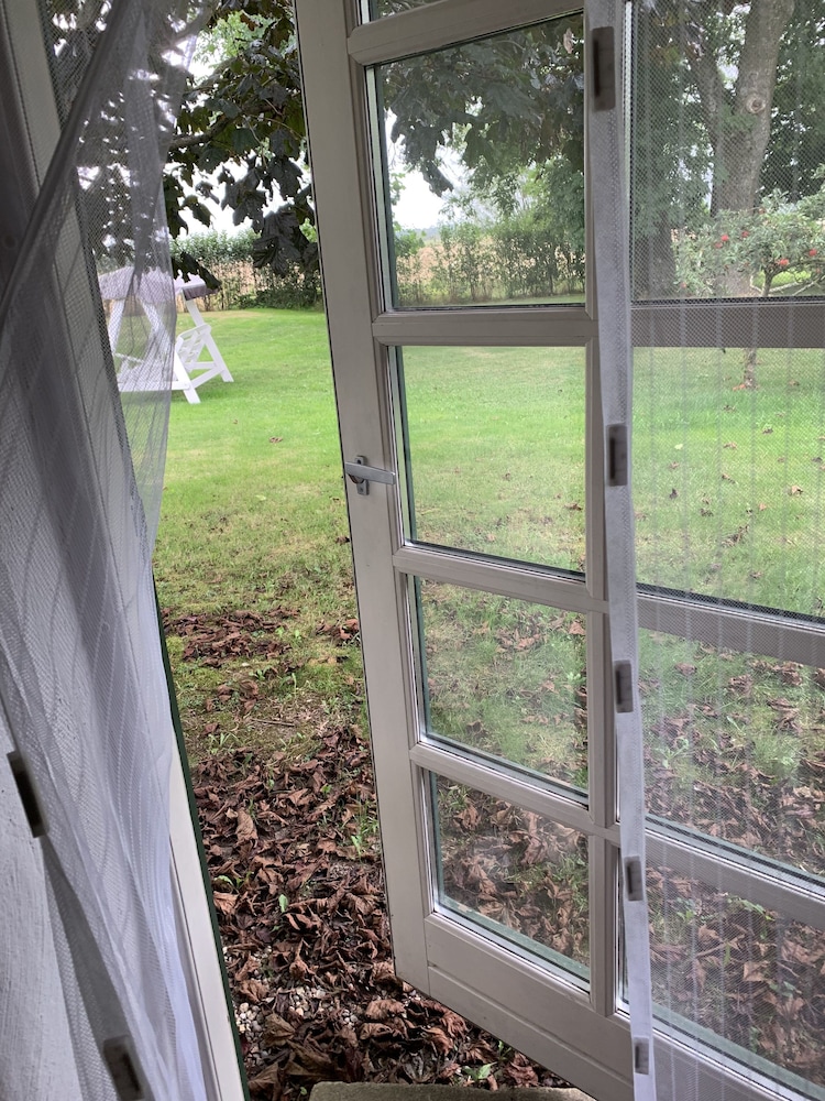 Photo 43