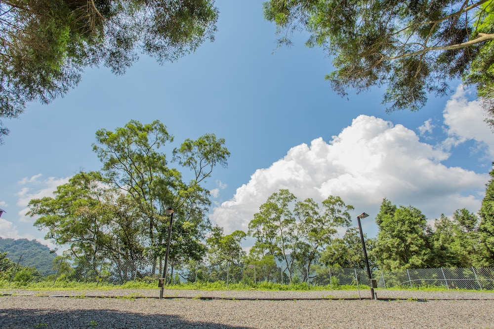 Baishengcun Coffee Farm