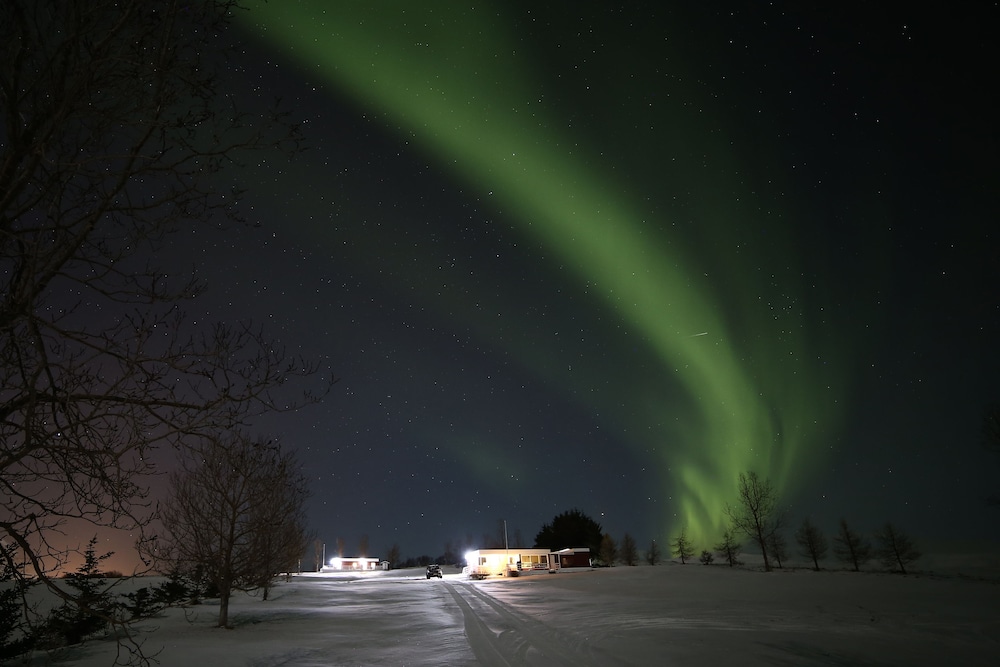 Hotel Hofdi Cottages