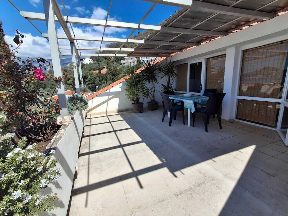 Apartments Andjus