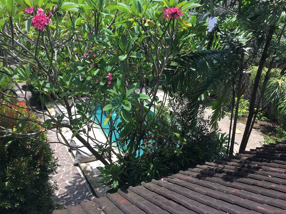 Cafe Wayan Cottages