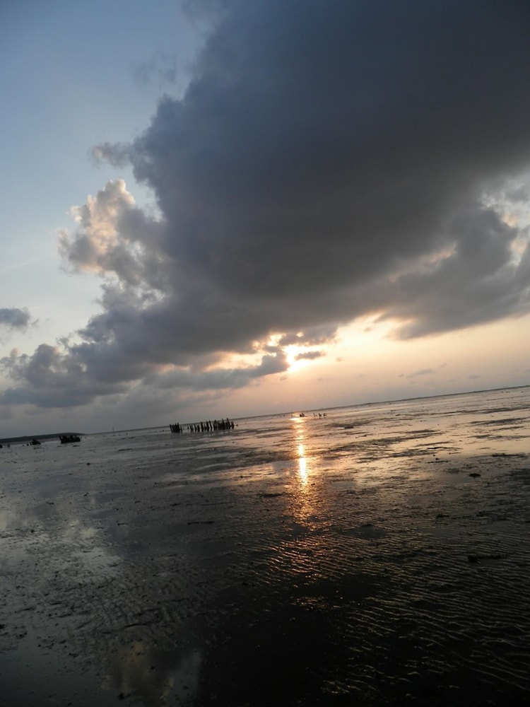 Photo 42