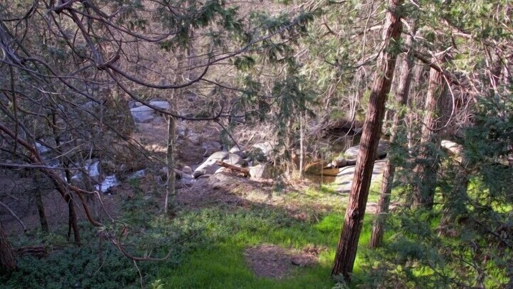 Photo 27