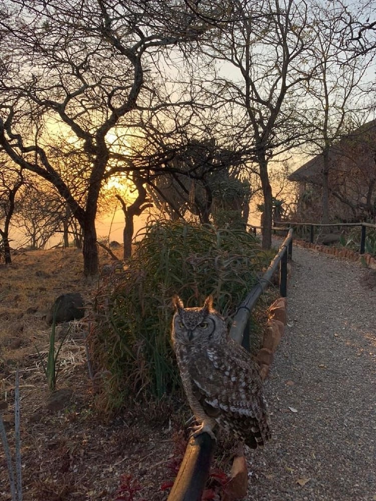 Shayamoya Tiger Fishing and Game Lodge