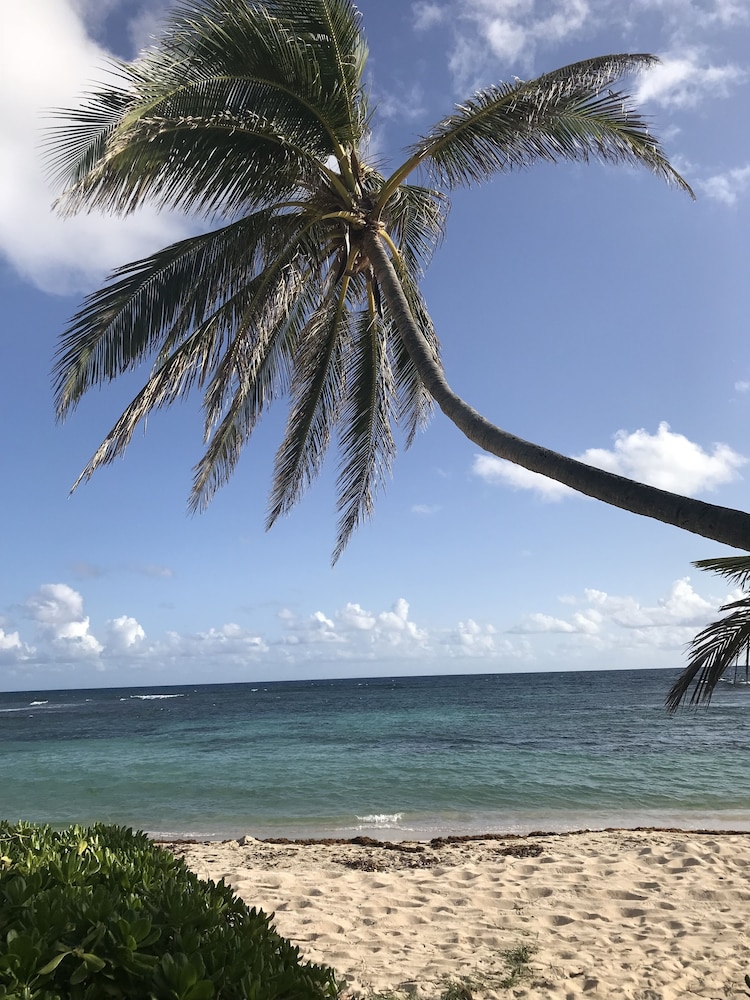 The Palms at Pelican Cove - Property Image 1
