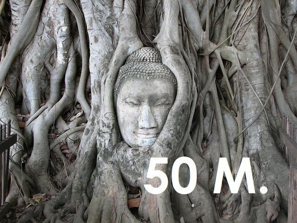The Sixty at Ayutthaya