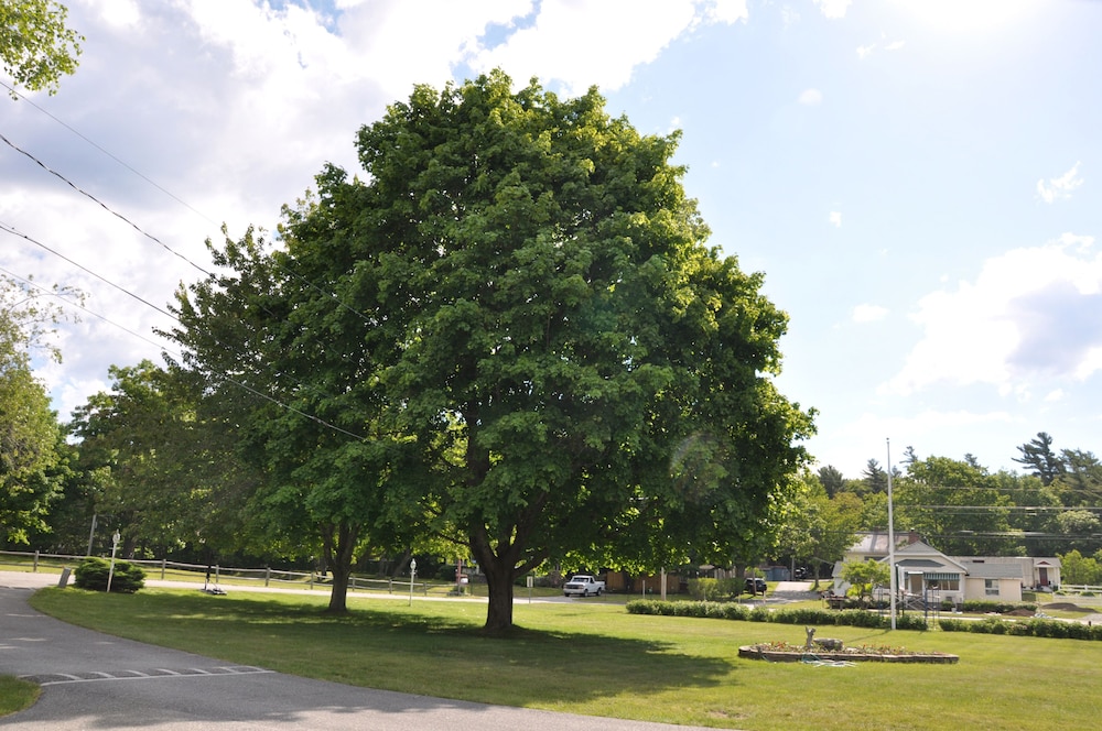 Gallagher's Travels Bar Harbor Motel & Cabins