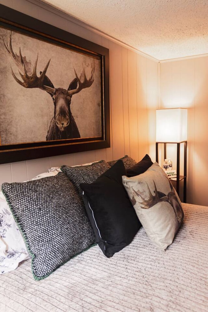 Moose Room Rustic Colorado Lodge Escape