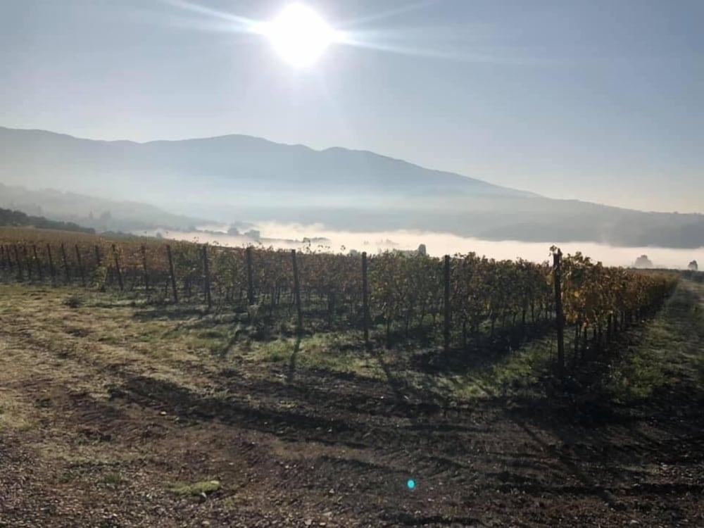 AZIENDA AGRICOLO IL POGGIOLINO