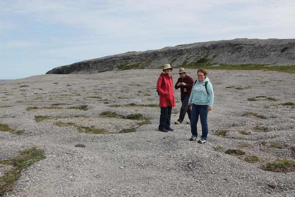 Burnt Cape Cabins