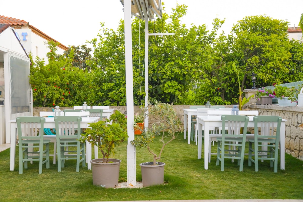 Elda Koyici Alacatı - Image 13