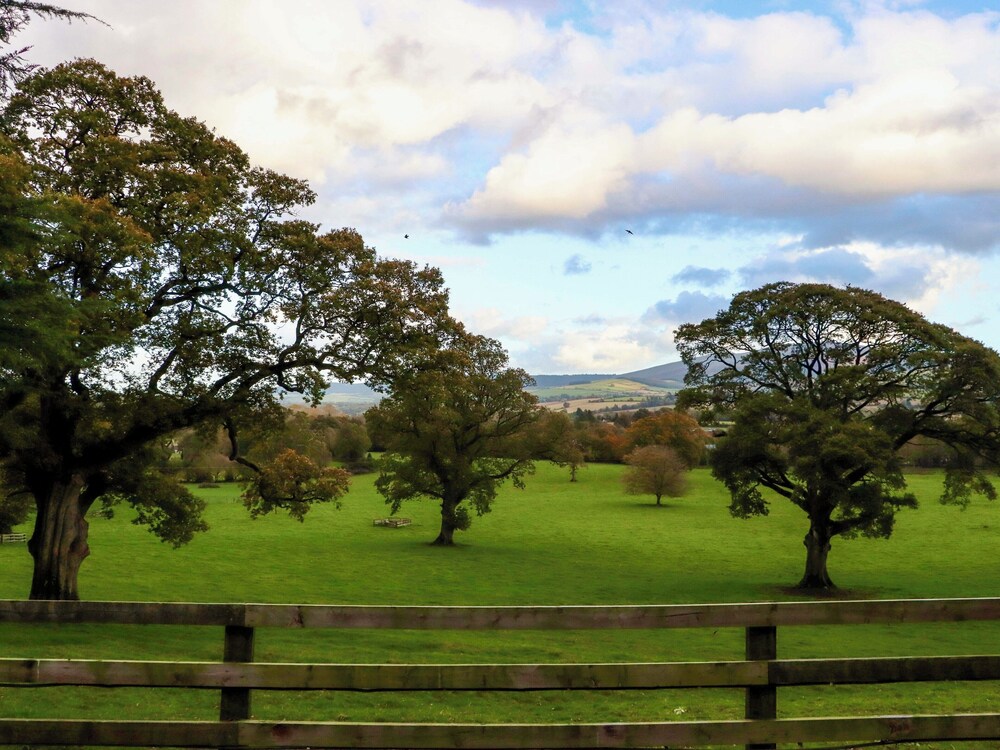 Ballybeg Pod 9