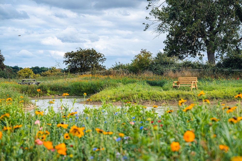 Andrus - Mayflower Meadow