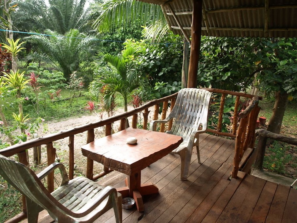 Khaosok Palmview