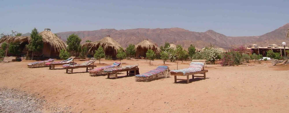 Bedouin Star