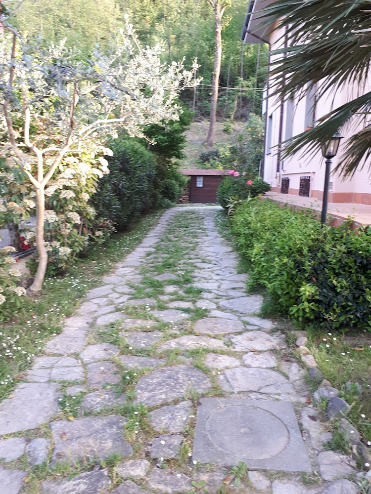 Photo 21