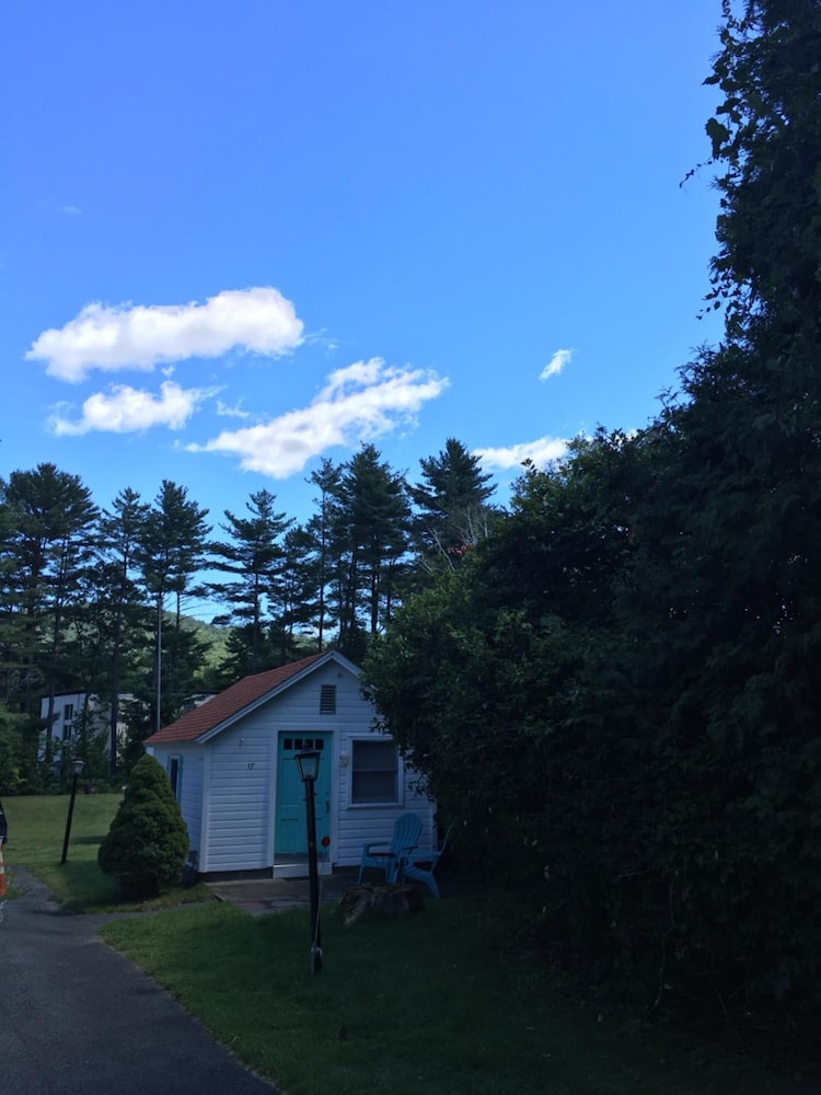 Photo 43