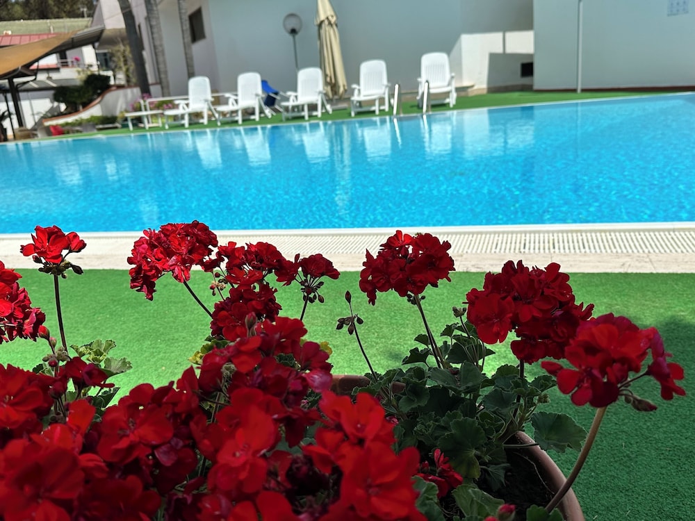 Hotel B&B Marina