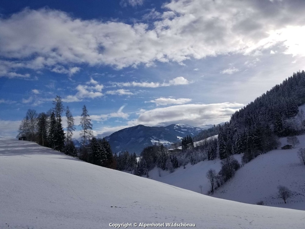 Group Holiday Apartment in Oberau With Pool use