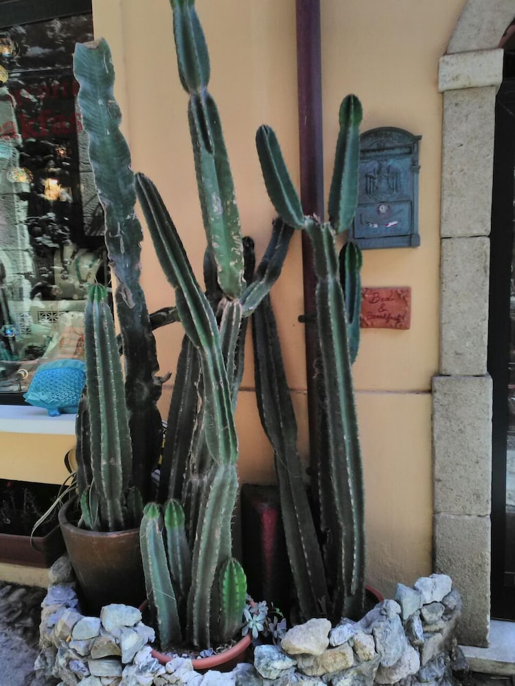 Photo 38