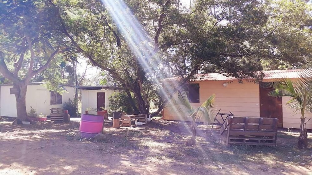 Photo 21