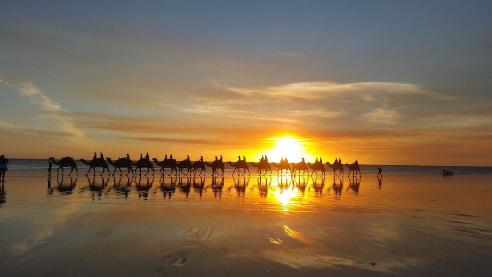 Cable Beach Backpackers - Hostel