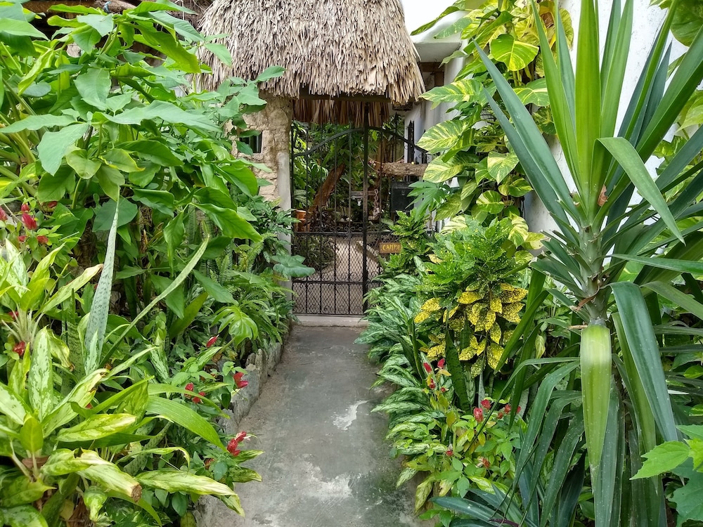 Casitas Kinsol