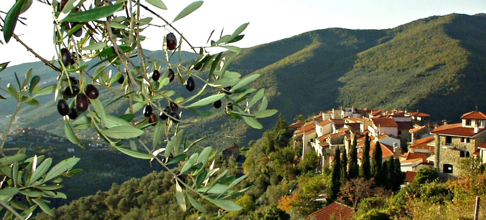 Panoramic Rural House With Garden