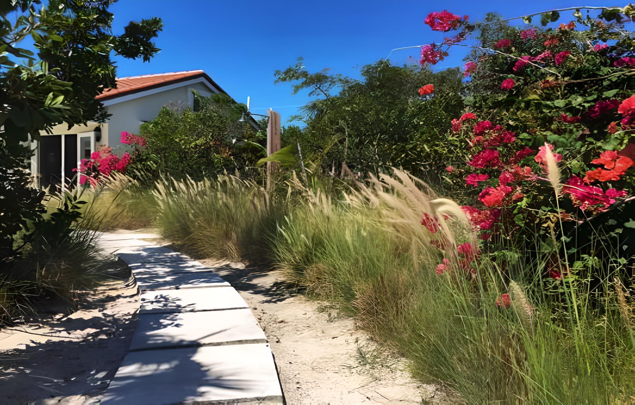 Photo 85