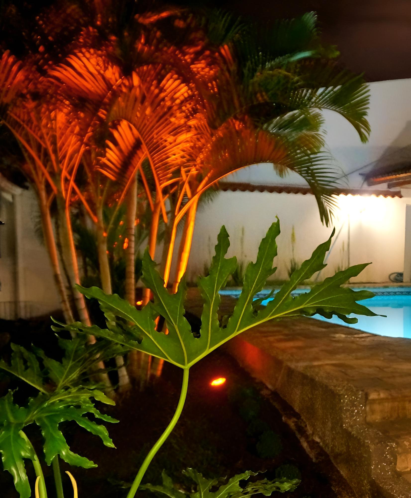 Urban Hotel Boutique