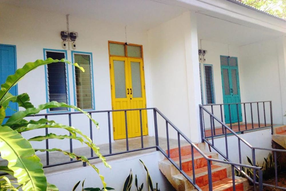 Sleepy Owl Hostel
